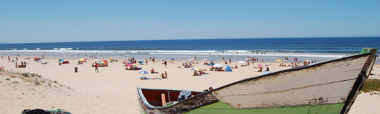 beautiful sunny beach and ocean view